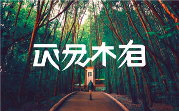 语音识别软件